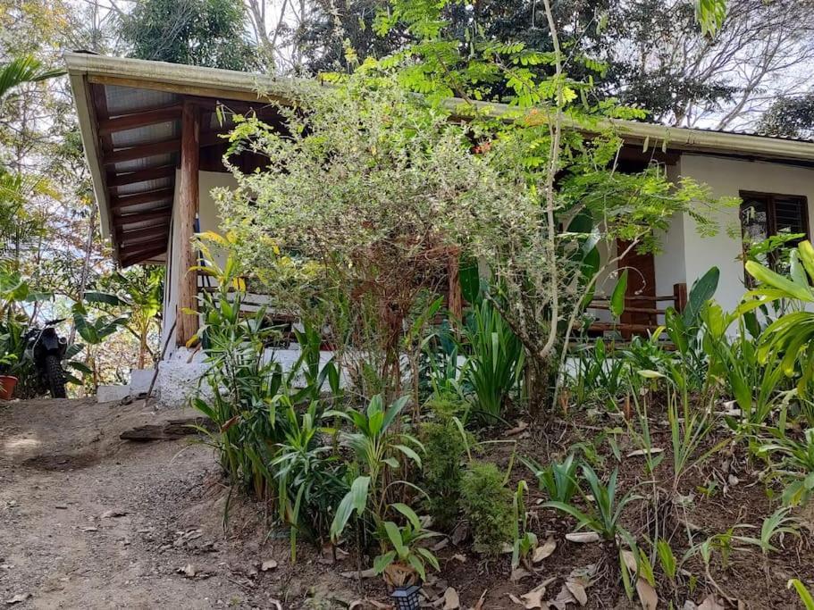 Casa Paraiso Manzanillo  Exterior foto